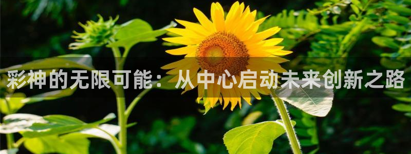 BG大游app下载安装：彩神的无限可能：从中心启动未来创新之路