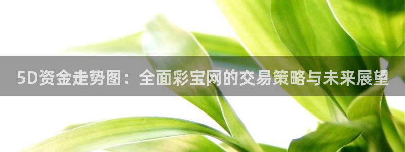 BG大游电子游戏官网：5D资金走势图：全面彩宝网的交易策略与未来展望