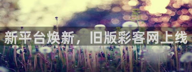 BG大游.com：新平台焕新，旧版彩客网上线